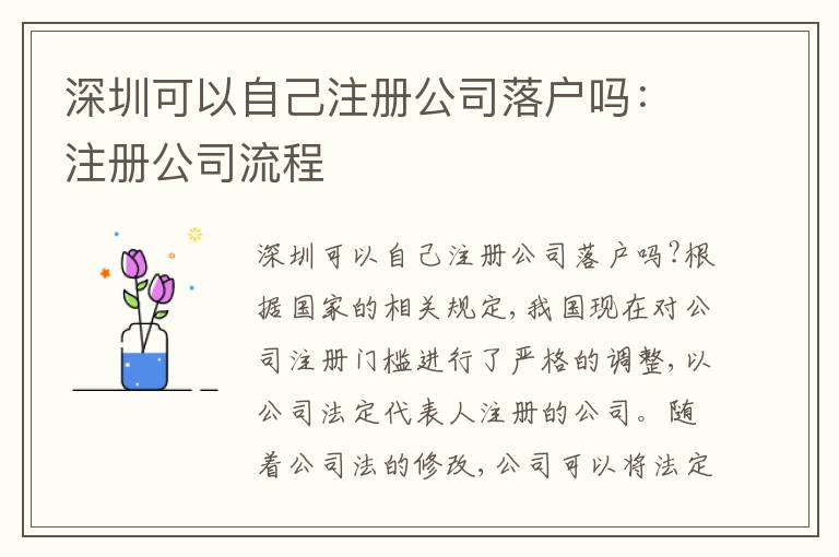 深圳可以自己注冊公司落戶嗎：注冊公司流程