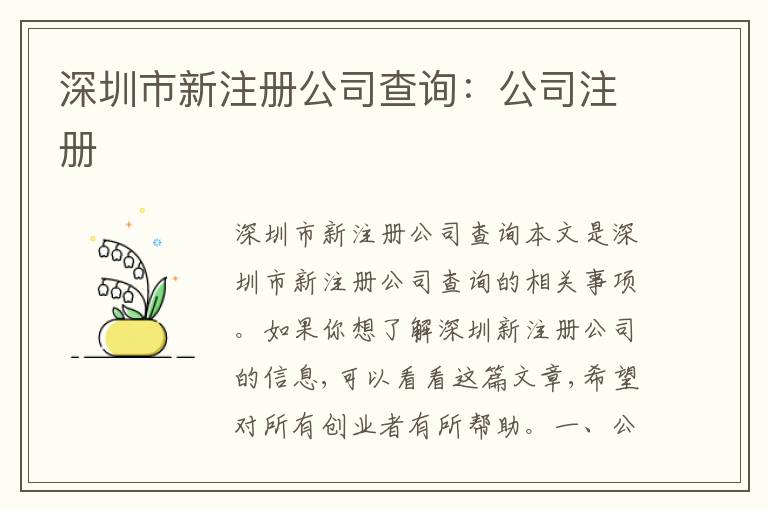 深圳市新注冊(cè)公司查詢：公司注冊(cè)