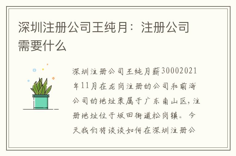 深圳注冊公司王純月：注冊公司需要什么