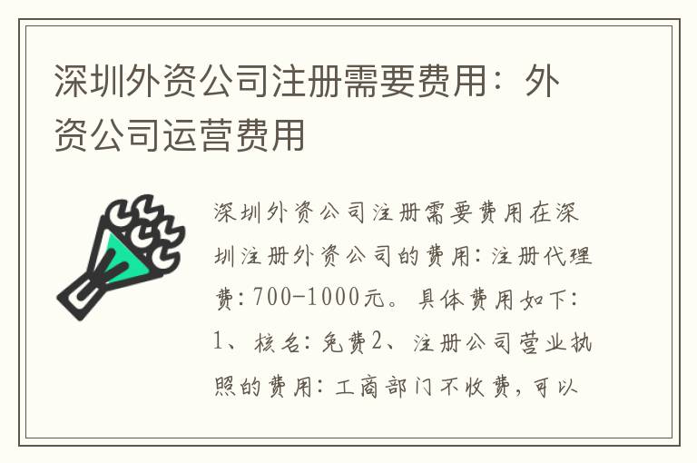 深圳外資公司注冊(cè)需要費(fèi)用：外資公司運(yùn)營(yíng)費(fèi)用