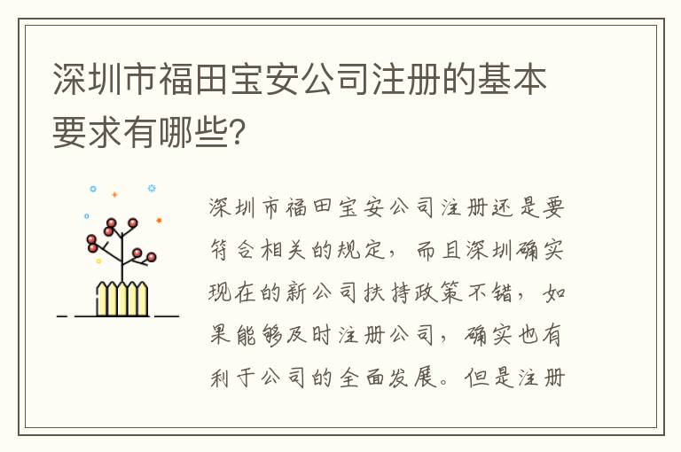 深圳市福田寶安公司注冊(cè)的基本要求有哪些？