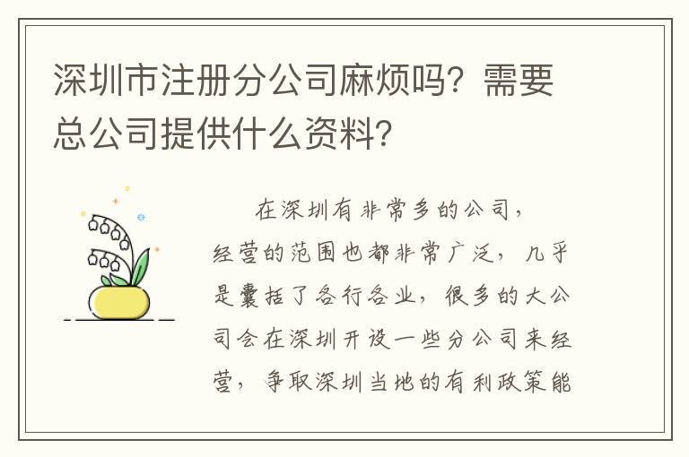 深圳市注冊(cè)分公司麻煩嗎？需要總公司提供什么資料？