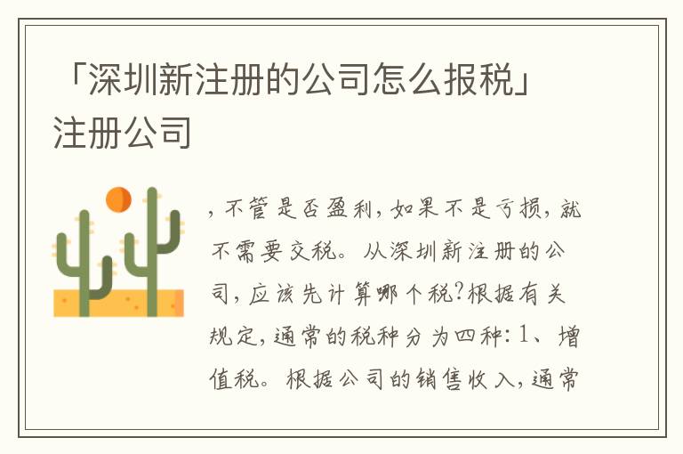 「深圳新注冊的公司怎么報稅」注冊公司
