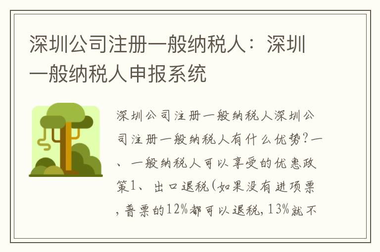 深圳公司注冊(cè)一般納稅人：深圳一般納稅人申報(bào)系統(tǒng)