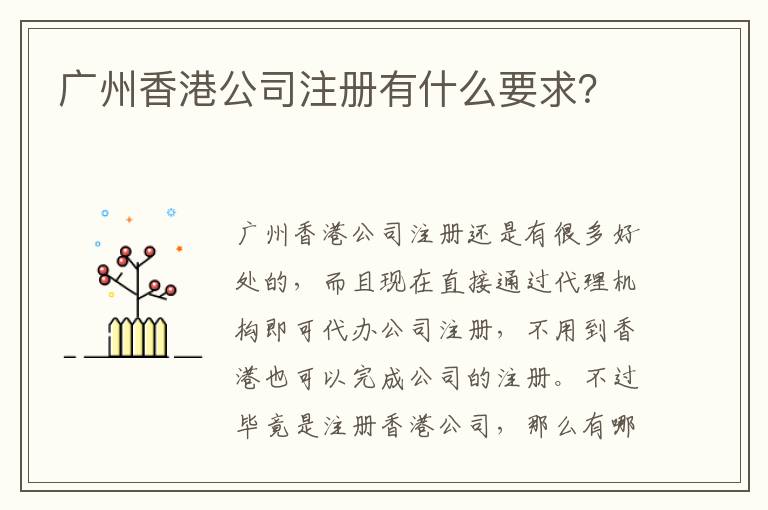 廣州香港公司注冊有什么要求？