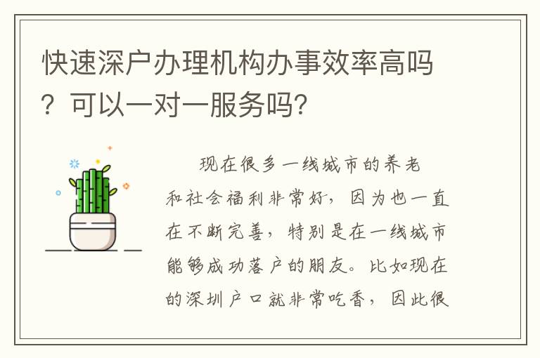 快速深戶辦理機(jī)構(gòu)辦事效率高嗎？可以一對一服務(wù)嗎？