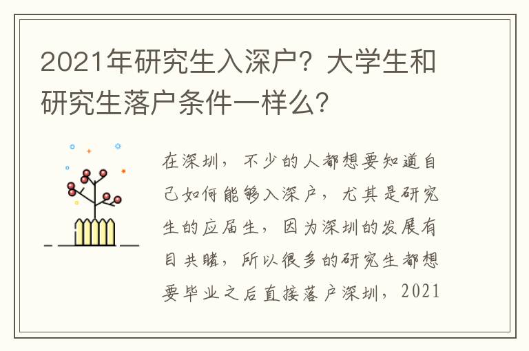 2021年研究生入深戶？大學(xué)生和研究生落戶條件一樣么？