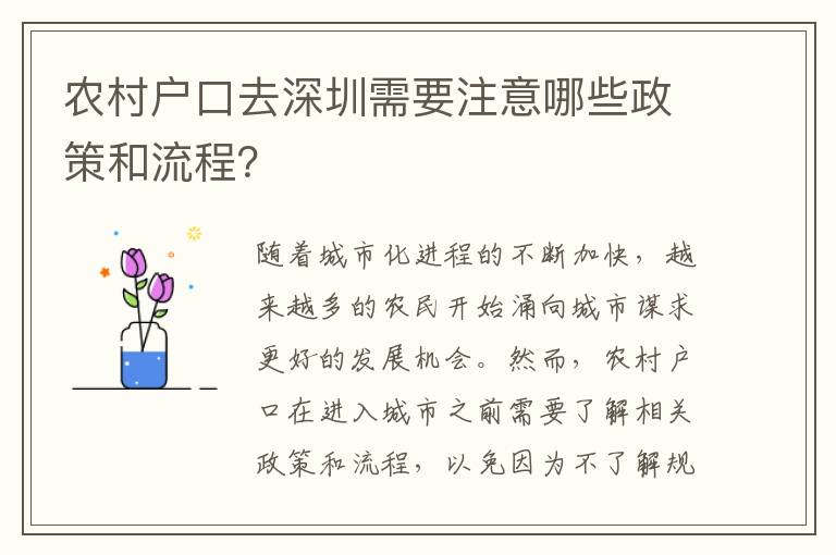 農(nóng)村戶口去深圳需要注意哪些政策和流程？