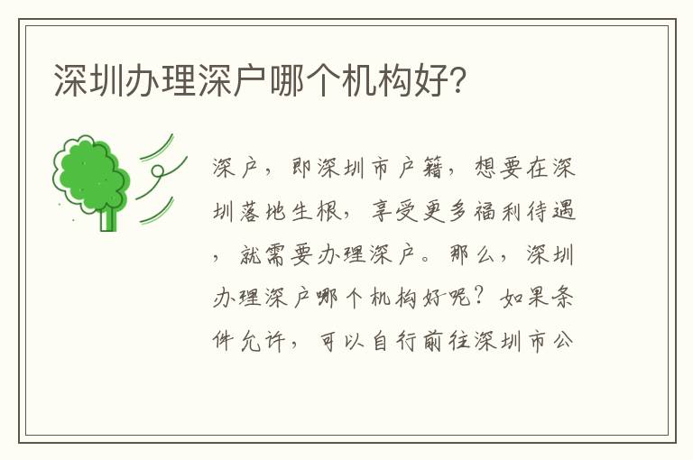 深圳辦理深戶哪個機構好？