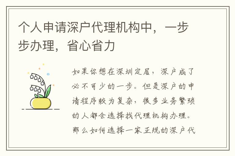 個(gè)人申請(qǐng)深戶代理機(jī)構(gòu)中，一步步辦理，省心省力