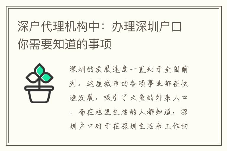 深戶代理機(jī)構(gòu)中：辦理深圳戶口你需要知道的事項