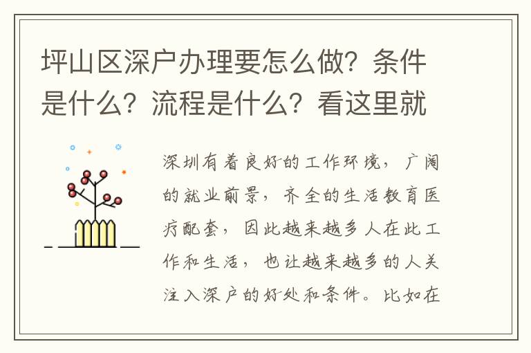 坪山區(qū)深戶辦理要怎么做？條件是什么？流程是什么？看這里就夠了！