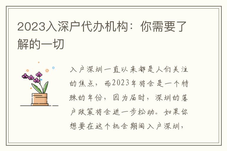 2023入深戶代辦機(jī)構(gòu)：你需要了解的一切