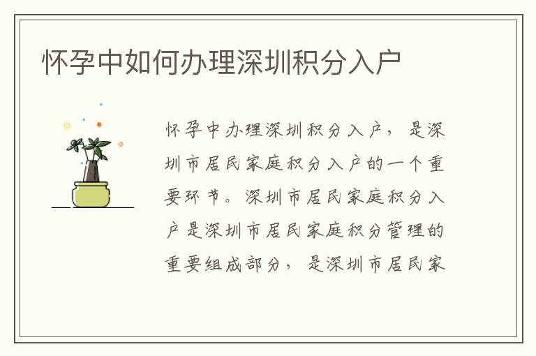 懷孕中如何辦理深圳積分入戶(hù)