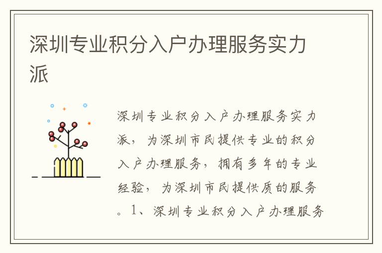 深圳專業(yè)積分入戶辦理服務(wù)實(shí)力派