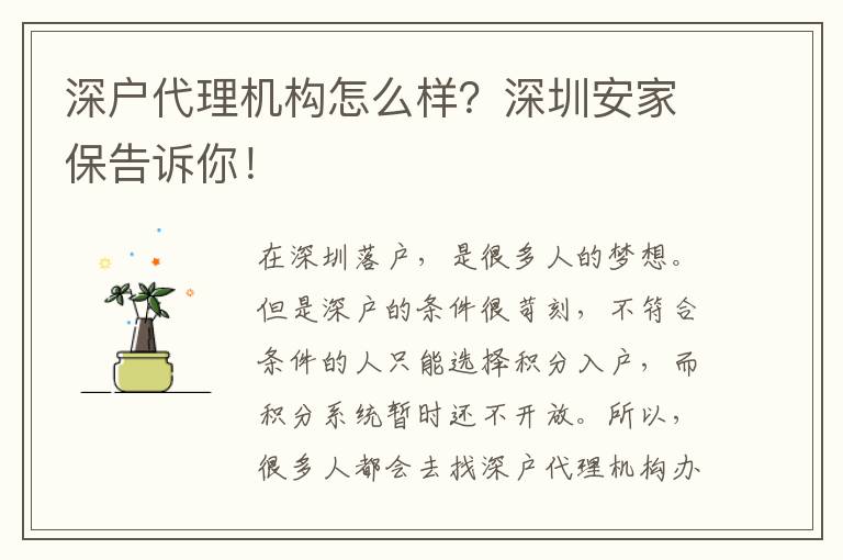 深戶代理機(jī)構(gòu)怎么樣？深圳安家保告訴你！