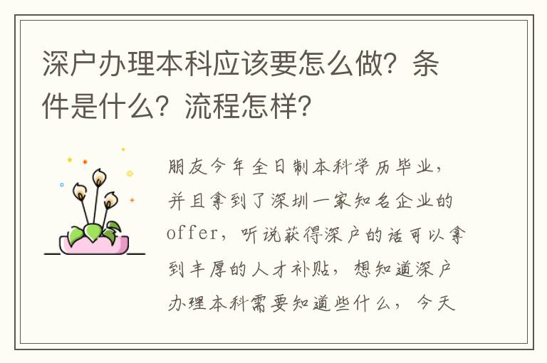 深戶辦理本科應(yīng)該要怎么做？條件是什么？流程怎樣？
