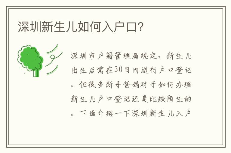 深圳新生兒如何入戶口？