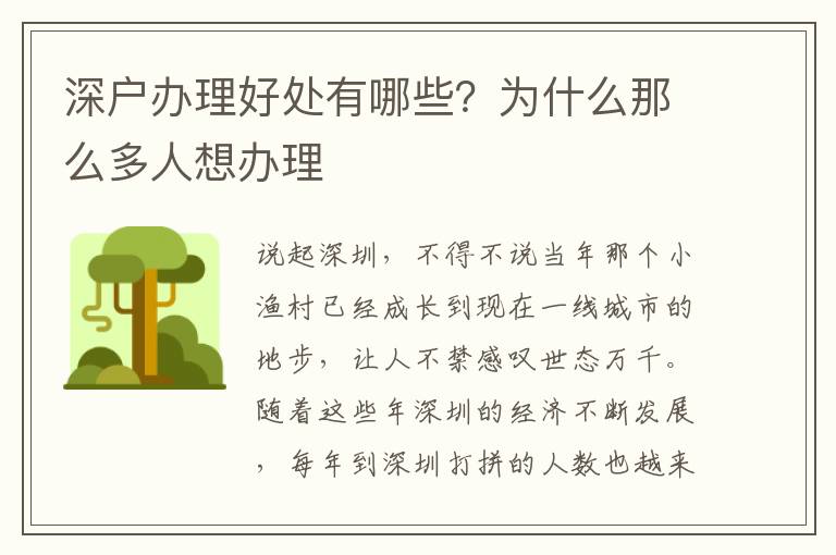 深戶辦理好處有哪些？為什么那么多人想辦理