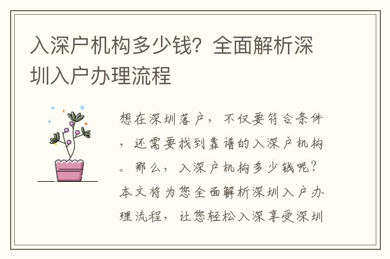 入深戶機(jī)構(gòu)多少錢？全面解析深圳入戶辦理流程