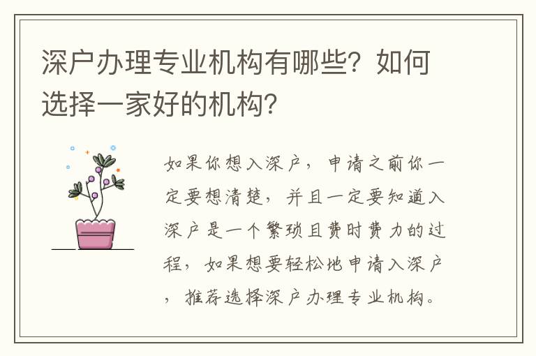 深戶辦理專業(yè)機構(gòu)有哪些？如何選擇一家好的機構(gòu)？