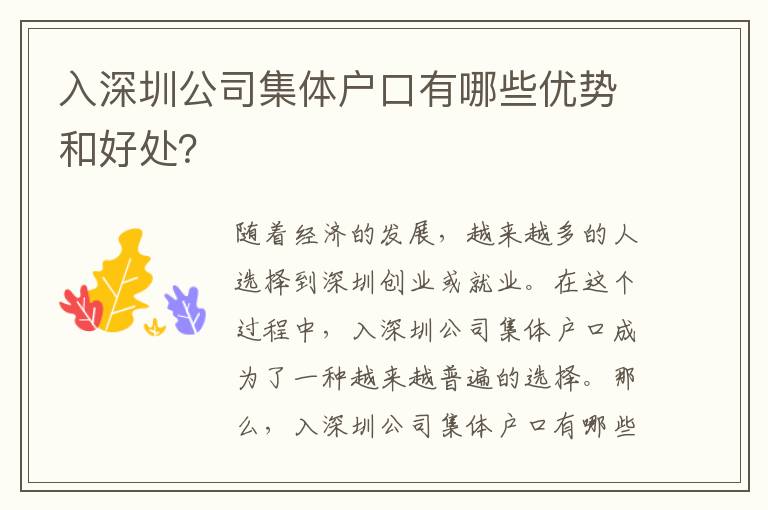 入深圳公司集體戶口有哪些優(yōu)勢(shì)和好處？