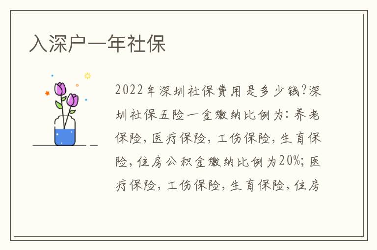 入深戶一年社保