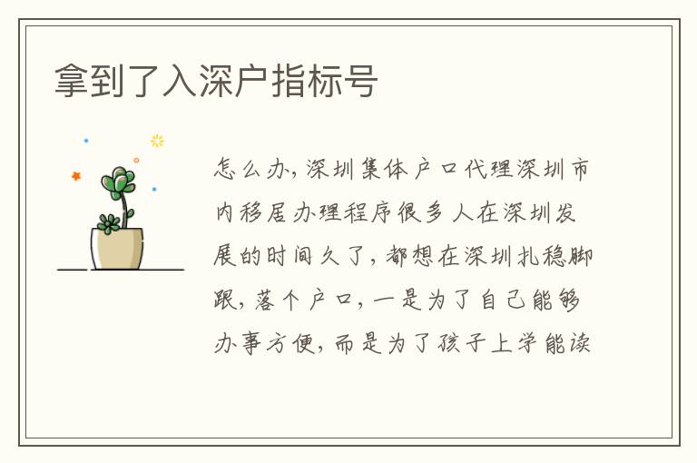 拿到了入深戶指標號