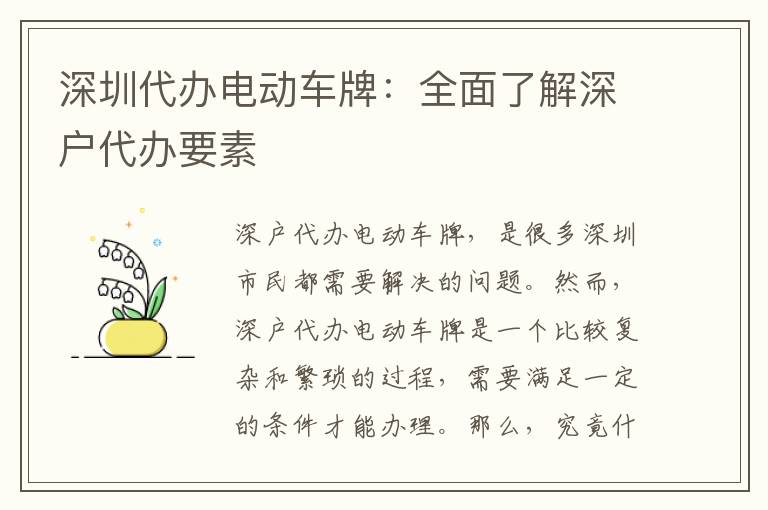深圳代辦電動(dòng)車牌：全面了解深戶代辦要素