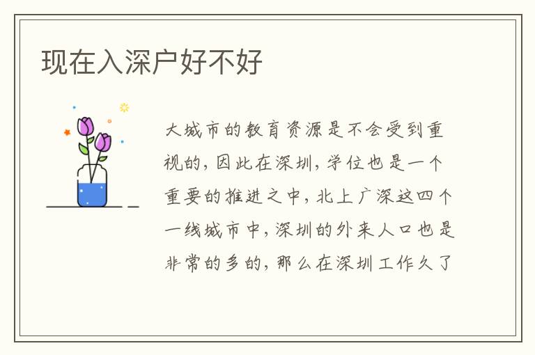 現(xiàn)在入深戶好不好