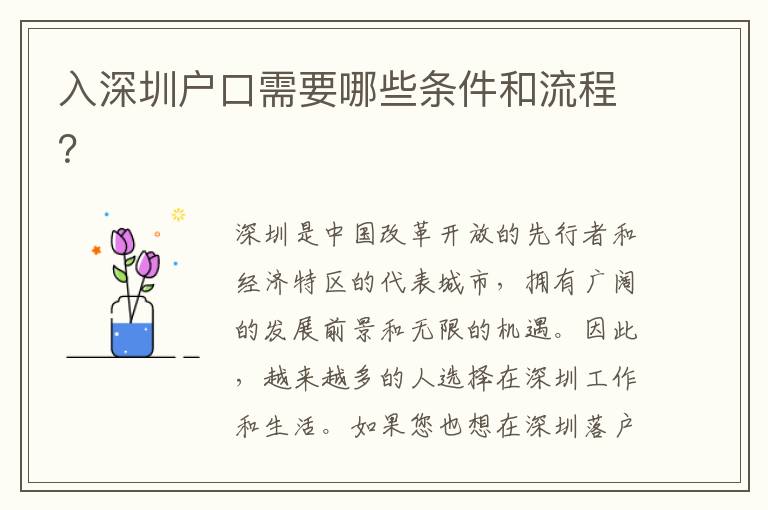 入深圳戶口需要哪些條件和流程？
