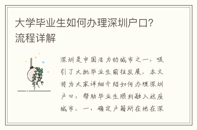 大學(xué)畢業(yè)生如何辦理深圳戶口？流程詳解