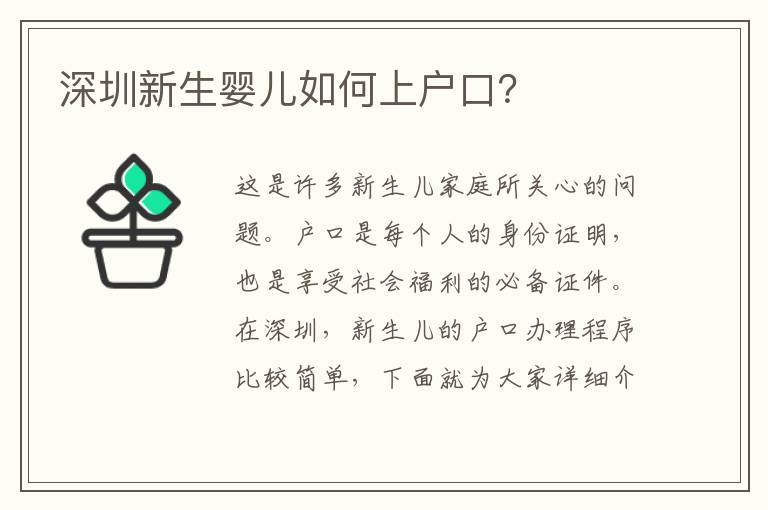 深圳新生嬰兒如何上戶口？