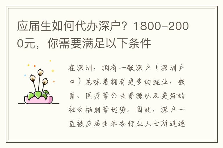 應(yīng)屆生如何代辦深戶？1800-2000元，你需要滿足以下條件