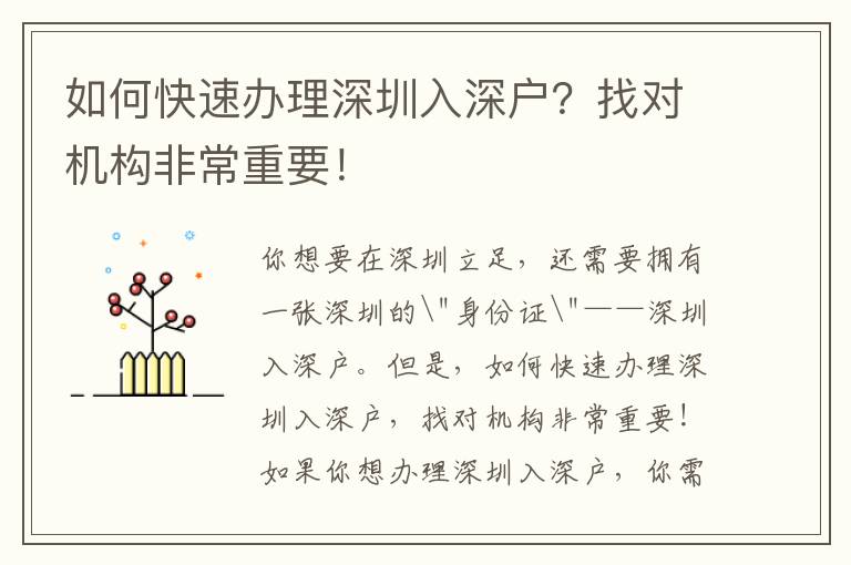 如何快速辦理深圳入深戶？找對機構(gòu)非常重要！