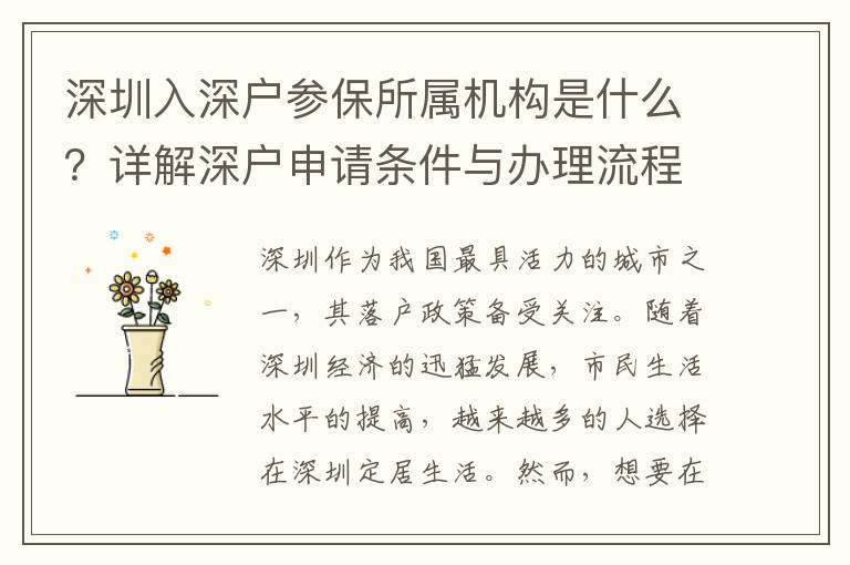 深圳入深戶參保所屬機構(gòu)是什么？詳解深戶申請條件與辦理流程！