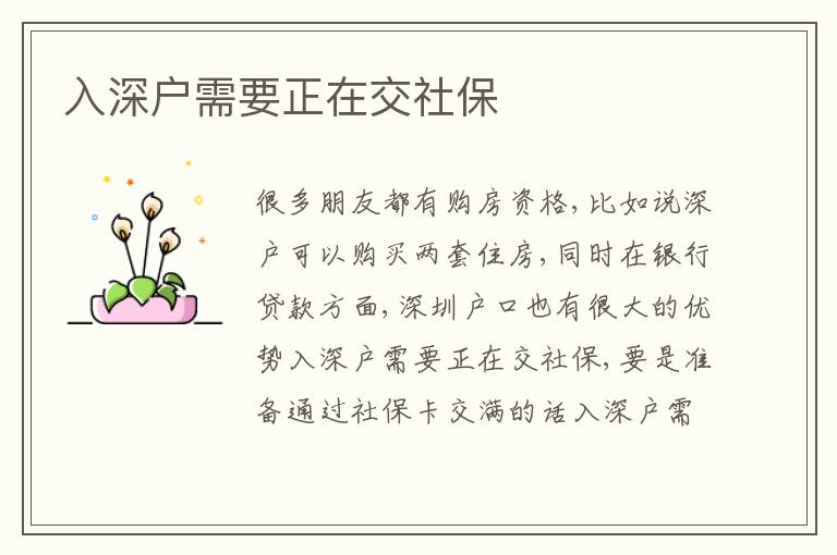 入深戶需要正在交社保