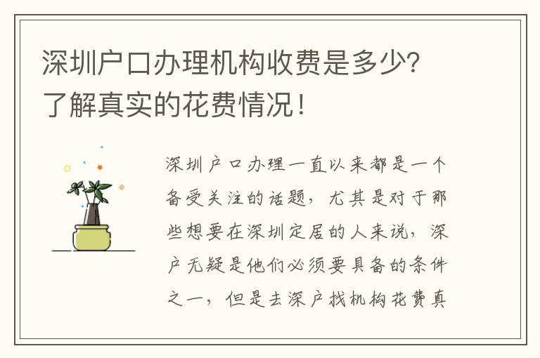 深圳戶口辦理機(jī)構(gòu)收費(fèi)是多少？了解真實(shí)的花費(fèi)情況！