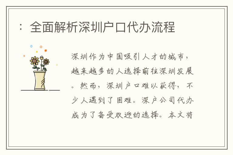 ：全面解析深圳戶口代辦流程