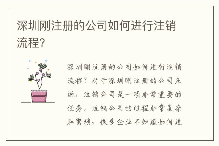 深圳剛注冊(cè)的公司如何進(jìn)行注銷(xiāo)流程？
