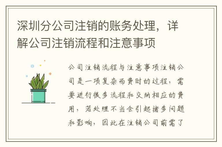 深圳分公司注銷的賬務(wù)處理，詳解公司注銷流程和注意事項