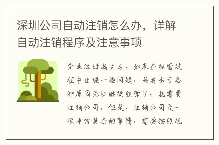 深圳公司自動(dòng)注銷怎么辦，詳解自動(dòng)注銷程序及注意事項(xiàng)