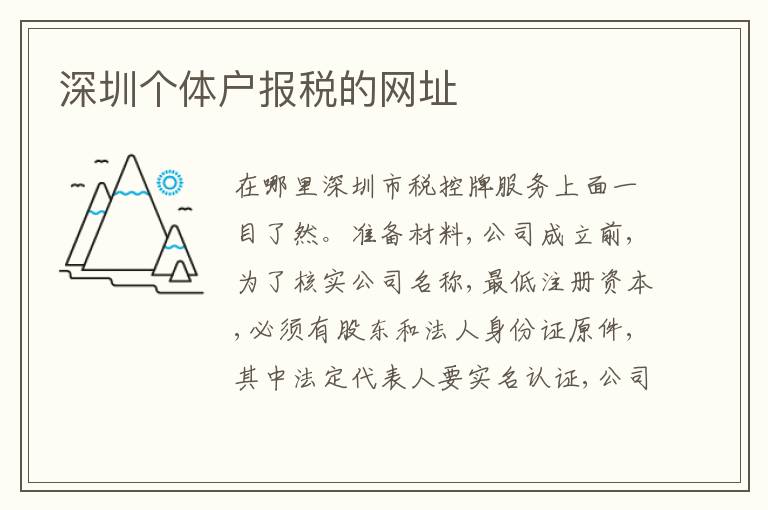 深圳個體戶報(bào)稅的網(wǎng)址