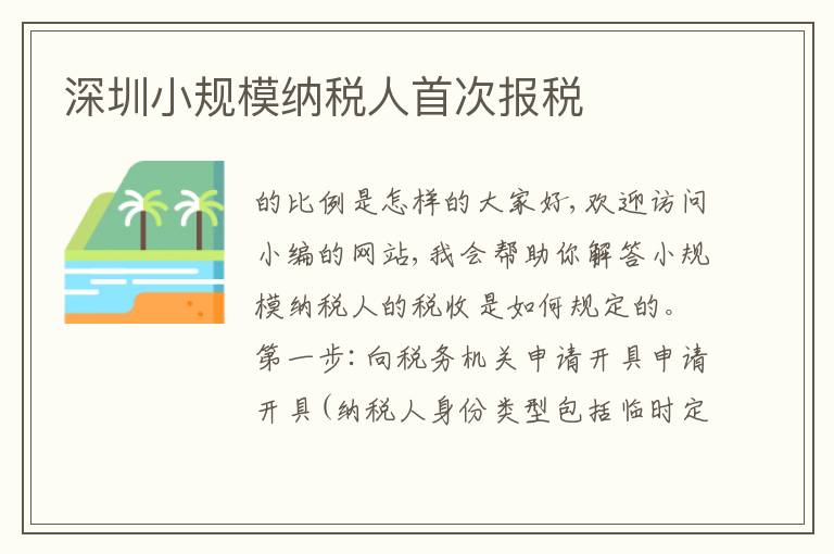 深圳小規(guī)模納稅人首次報稅