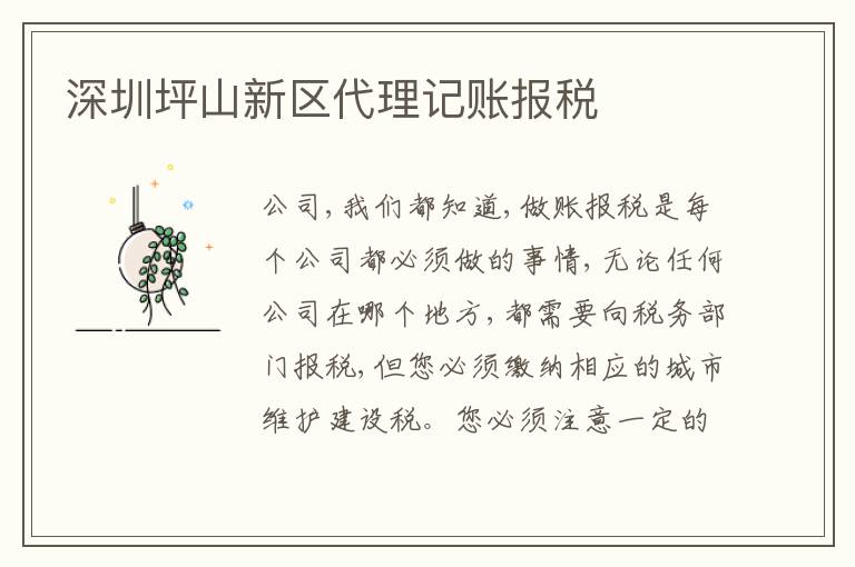 深圳坪山新區(qū)代理記賬報稅