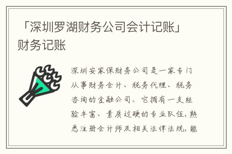 「深圳羅湖財務(wù)公司會計記賬」財務(wù)記賬
