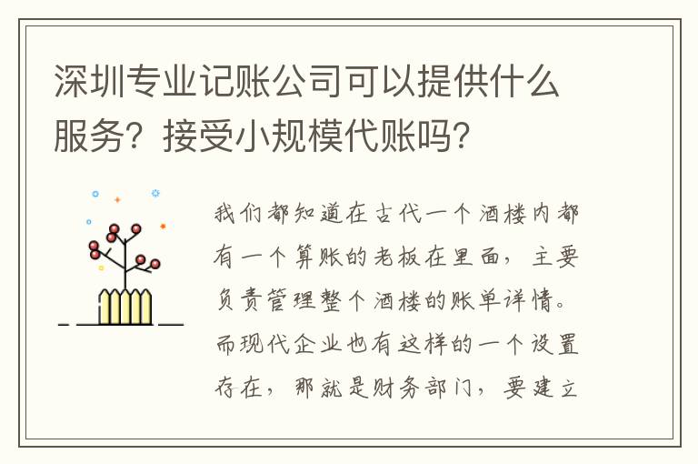 深圳專業(yè)記賬公司可以提供什么服務(wù)？接受小規(guī)模代賬嗎？