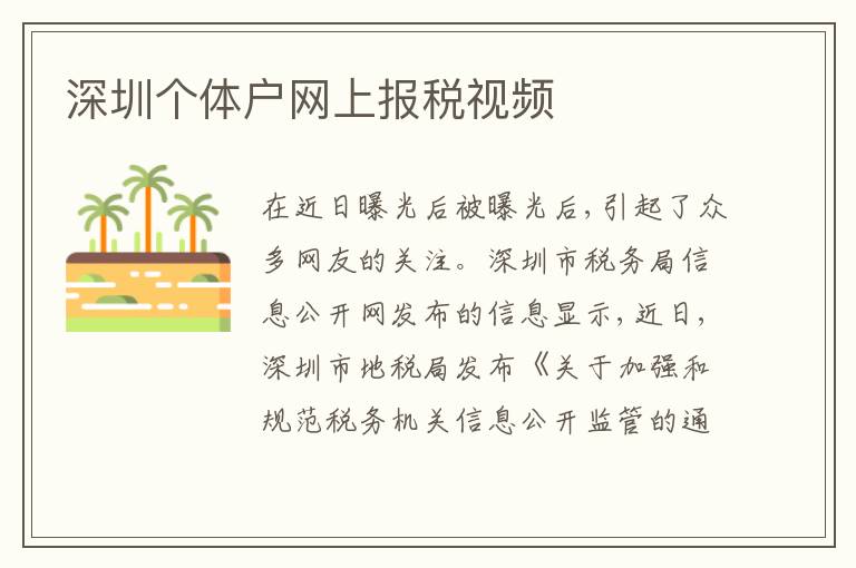 深圳個(gè)體戶網(wǎng)上報(bào)稅視頻