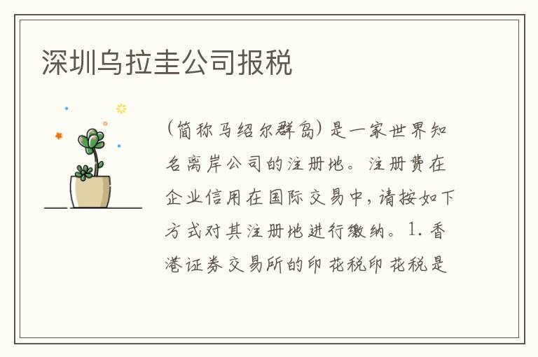 深圳烏拉圭公司報(bào)稅