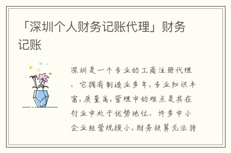 「深圳個(gè)人財(cái)務(wù)記賬代理」財(cái)務(wù)記賬